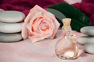 Rose attar ÑÐ¿Ð° perfumery